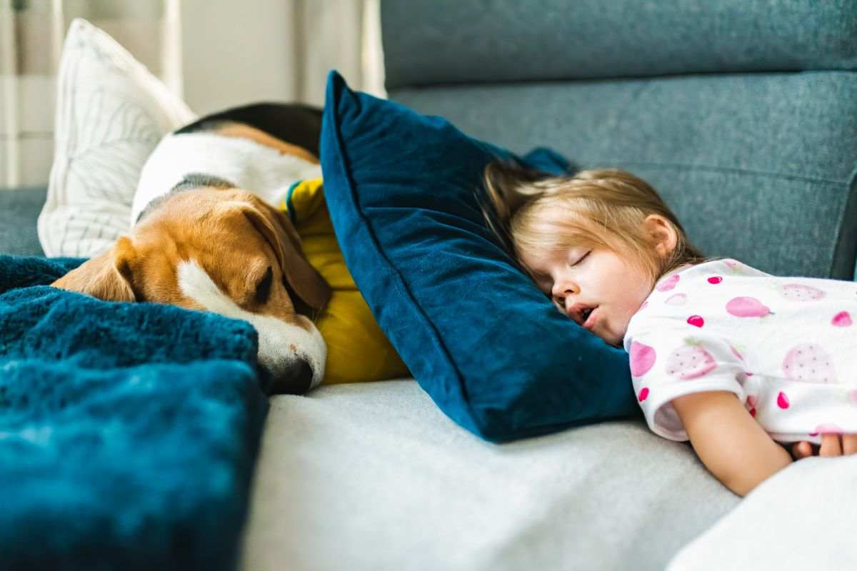 Cane e Bambina riposano insieme